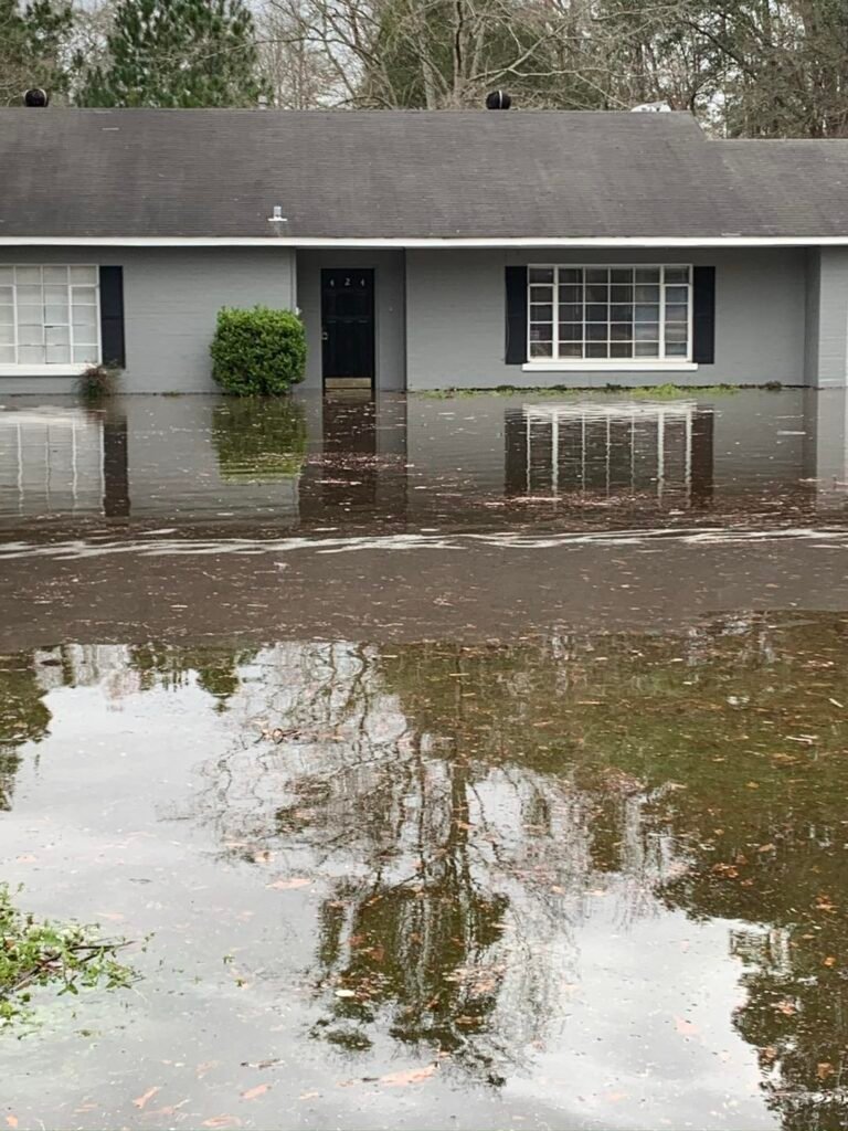 Flood Damage Cleanup in Citronelle, AL