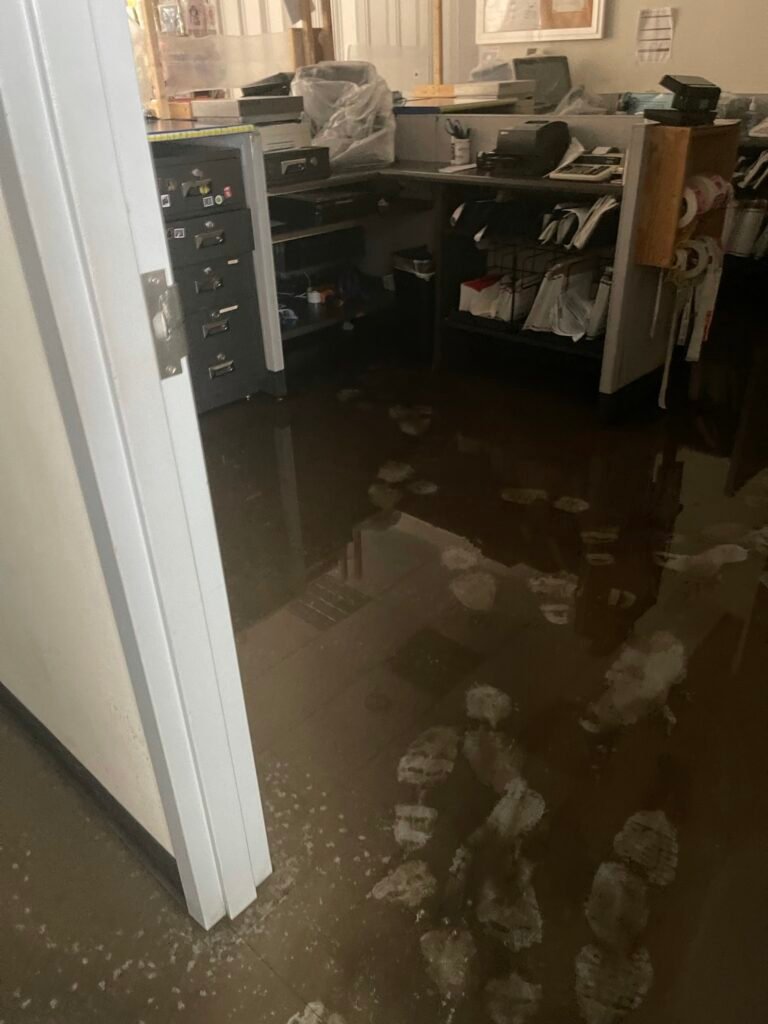 Sump Pump Failure Cleanup in Gulfcrest, AL